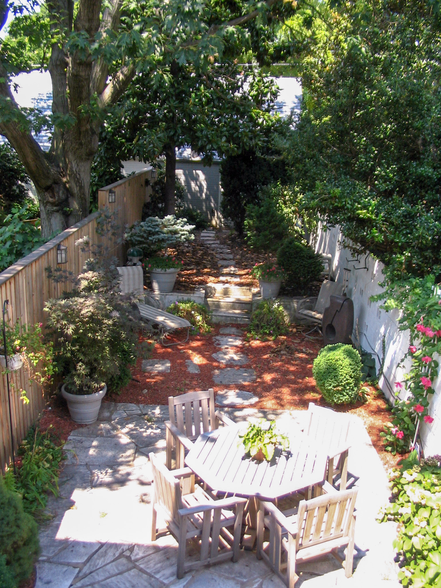 Before: Rear Yard Transformation