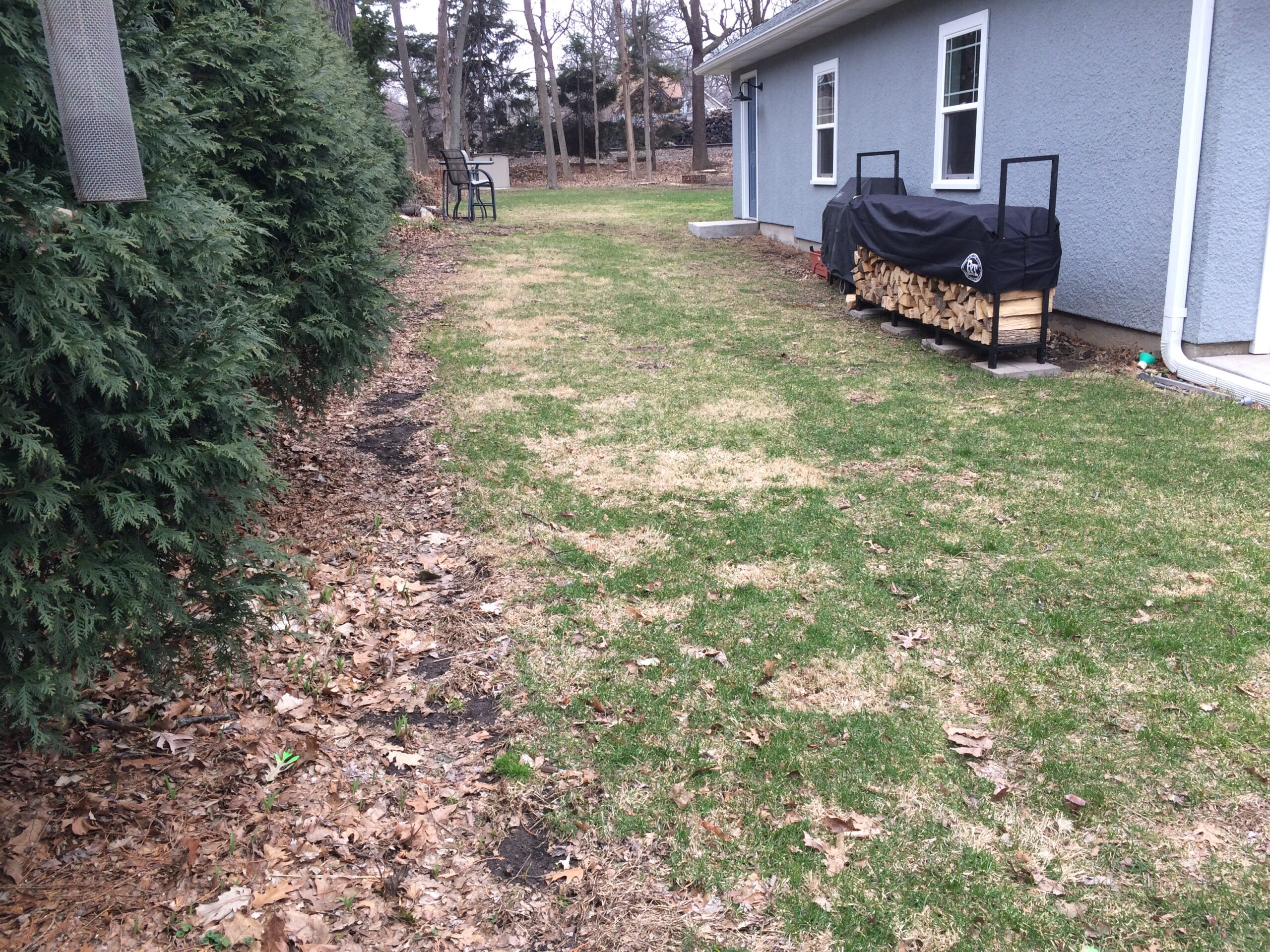 Before: Garden Transformation